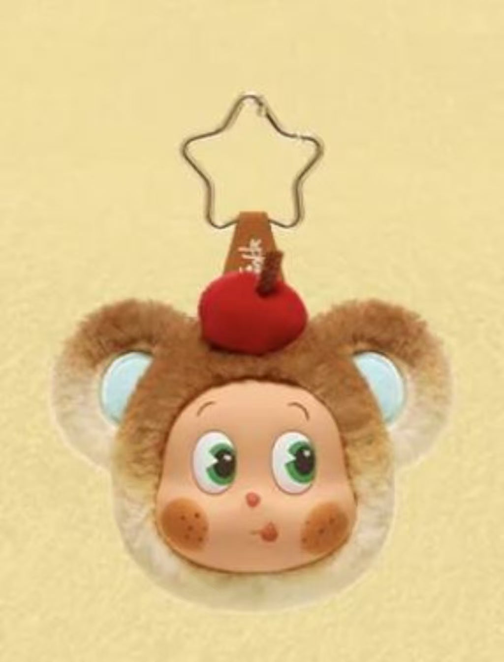 Twinkle earphone case secret